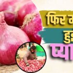 60 के पार 30 रुपये वाली प्याज, आम आदमी की रसाेई का फिर बिगड़ा बजट